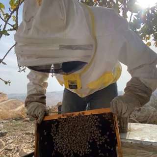 Palestinian Beekeepers