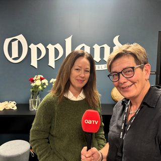 – Du vinner ikke valg i Norge på å ta tak i problemer