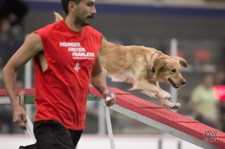 119: Handling (Three Aspects of Agility Training Part 4)