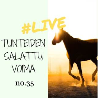 Jakso # 35 Tunteiden salattu voima