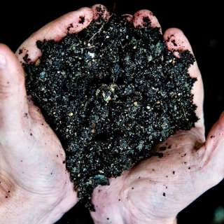 Vår överlevnad hänger på några decimeter