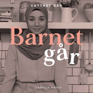 422. Barnet Går - Camilla Hamid, "Det var väldigt många som skulle tycka till om vår familj"