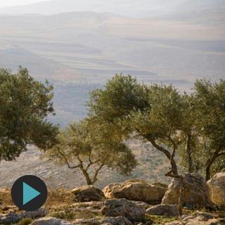 Award-Winning Filmmaker Annemarie Jacir — On the Making of Palestine 36