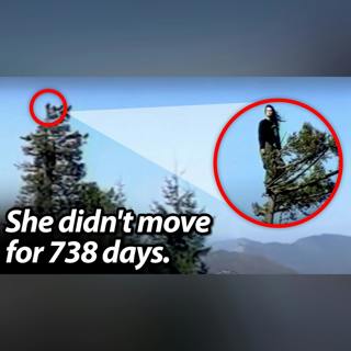 Why She Lived in a Tree for 738 Days—and Never Touched the Ground Once