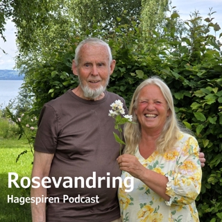 27/26: Rosevandring i roseparken på Myskjatunet med Reidun Myskja og Dag Lyngar