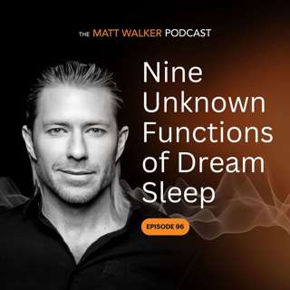 #96 - Nine Unknown Functions of Dream Sleep