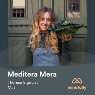 Therese Elgquist - Om meditation och mat