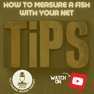 How to Measure a Fish with Your Net - Tips and Tricks - Fly Fishing Insider Podcast