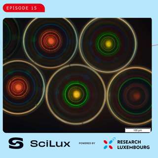 From Liquid to Solid: Exploring Liquid Crystals with Prof. Jan Lagerwall