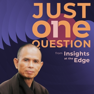 Just One Question | Thích Nhất Hạnh: What Is the Root Cause of Our Social Problems?