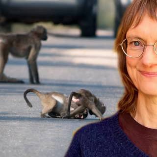Tonårsdjur: Om det artöverskridande projektet att bli vuxen