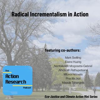 Radical Incrementalism in Action