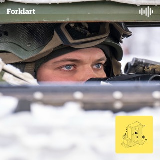 Hva er igjen av Nato uten USA?