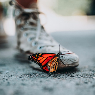 Mindfulness & Social Action: Towards a Secular Spirituality
