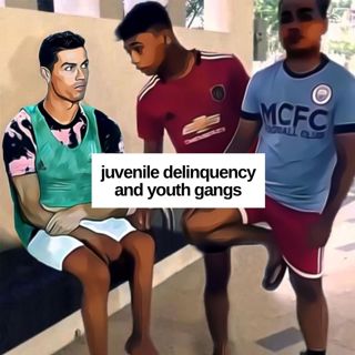 #231: Juvenile Delinquency And Youth Gangs