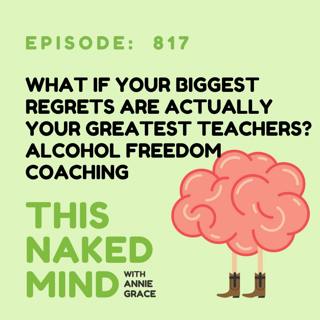 What If Your Biggest Regrets Are Actually Your Greatest Teachers? | Alcohol Freedom Coaching | E817