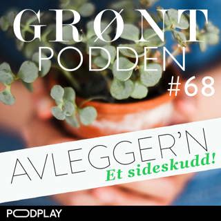 #68 Avlegger'n