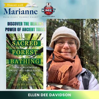 Sacred Forest Bathing with Ellen Dee Davidson