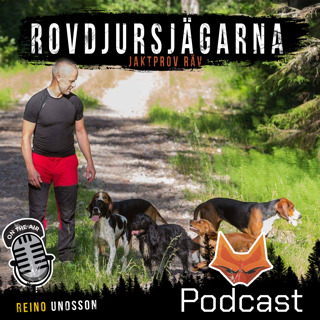 Jaktprov på Räv