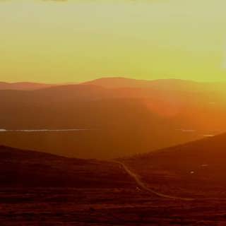 Livet i midnattssolens Abisko och vildare trädgård för fjärilar och fåglar