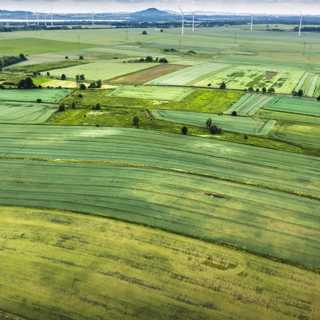Finns det en gräns mellan människan och naturen?