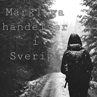 Det som drog igen dörren