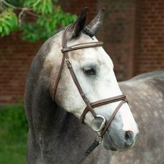 Avsnitt 83. Long time no see - Bettan och Gustaf är tillbaka med både en update och svar på inskickade lyssnarfrågor!