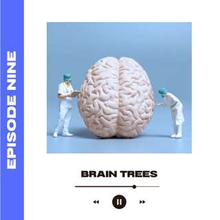Brain Trees (with Sophie Scott, CBE)