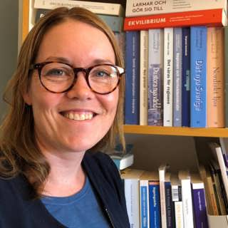 Vår demokrati står stark - trots allt