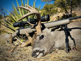 Gear Prep & Hunting for Coues Deer