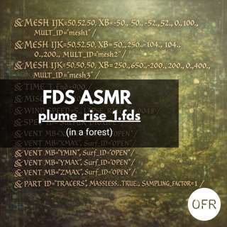 245 - FDS input file ASMR in forest