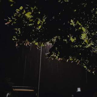 290 Night rain in the Pyrenees (sleep safe)