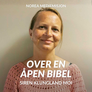 Skapt til fellesskap - Siren Klungland Moi (E2633-1)