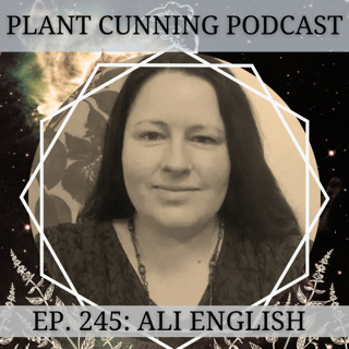 Ep. 245: Wild Medicine with Ali English