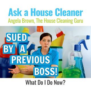 Help! I Am Being Sued by a Previous Boss (House Cleaning)