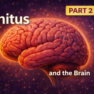 342 - A Brain-Based Approach to Tinnitus (Part 2): Making Sense of Treatment Options