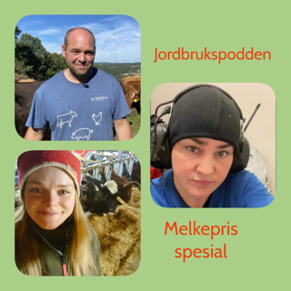 Episode 74 Melkepris spesial