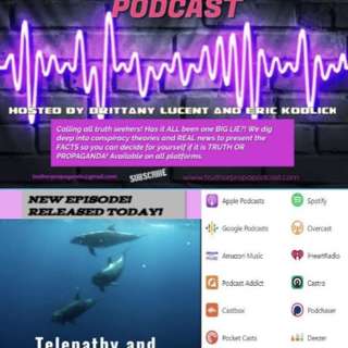 Telempathy and the secret code of Dolphins