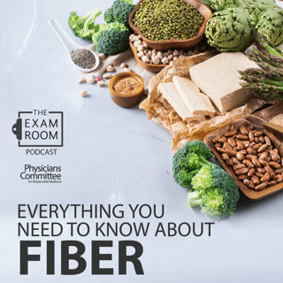 Everything You Need To Know About Fiber