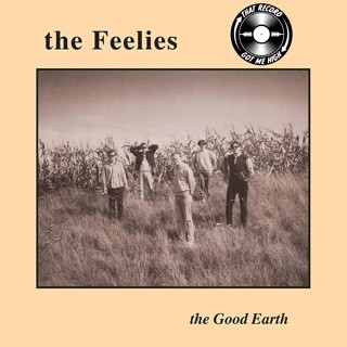 S5E198 - The Feelies 'The Good Earth' with Tom Lawery
