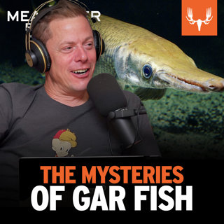 Ep. 793: The Mysteries of Gar Fish
