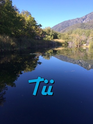 Tii - iTem 0302 - MS Office for iPad