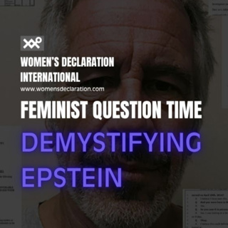 Feminists Demystifying Epstein #WDI