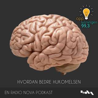 Hvordan bedre hukommelsen?
