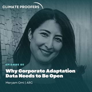 Meryam Omi On Why Corporate Adaptation Data Needs to Be Open