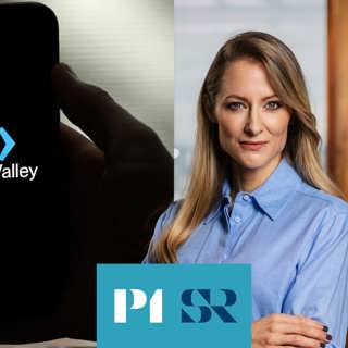 Så bombade techindustrin ut sin egen bank