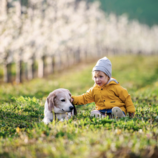 Babies, dogs, and the riddles of word learning