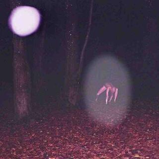 3 Disturbing TRUE Deep Woods_Wilderness Horror Stories