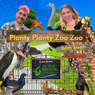 25. Planty Planty Interview-View #14: Axel & Ario Drioli