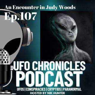 Ep.107 An Encounter in Judy Woods